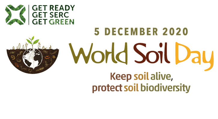 World Soil Day (WSD) is held annually on 5 December as a means to focus attention on the importance of healthy soil and to advocate for the sustainable management of soil resources.